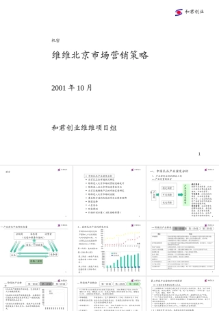 HJCY 维维豆奶营销战略报告