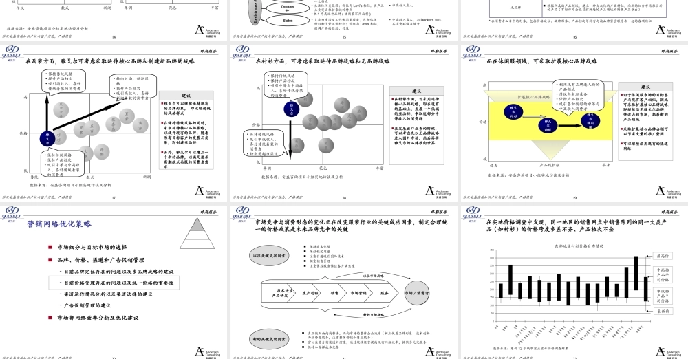 安达信--雅戈尔最终报告