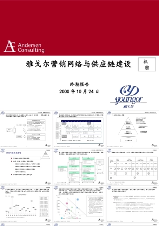 安达信--雅戈尔最终报告