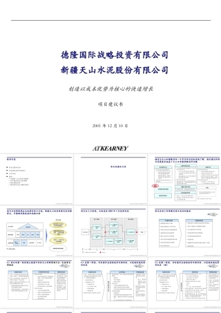 科尔尼—德隆天山水泥发展战略建议书