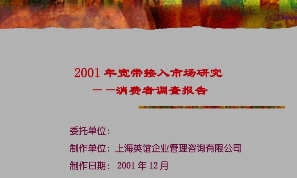 宽带接入个人目标消费群研究报告