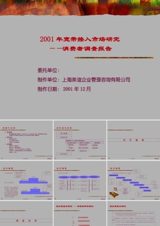 宽带接入个人目标消费群研究报告