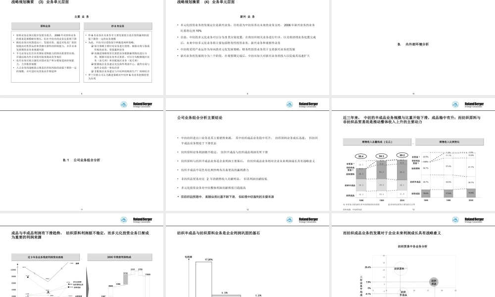 罗兰贝格 中国纺织进出口总公司五年战略规划ppt