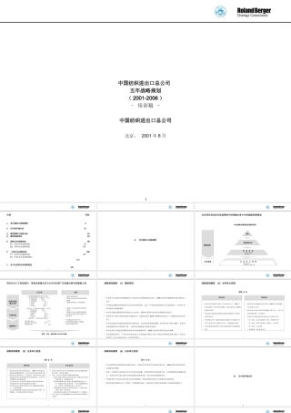罗兰贝格 中国纺织进出口总公司五年战略规划ppt