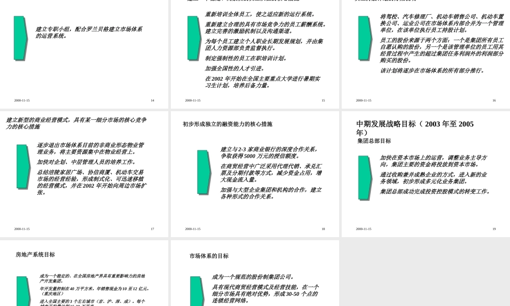 罗兰贝格-协信集团中长期发展战略规划