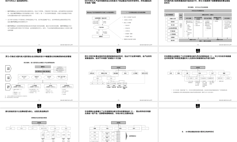 罗兰贝格—长虹事业部制建议书