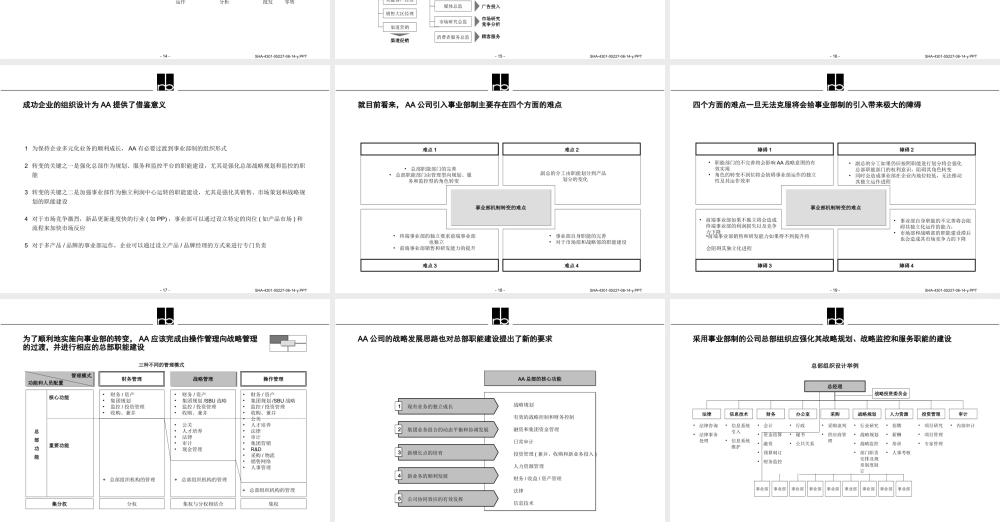 罗兰贝格—长虹事业部制建议书