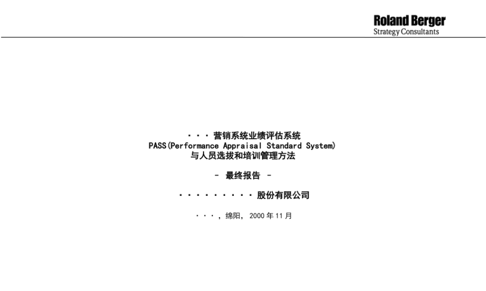 罗兰贝格—长虹营销系统业绩评估系统