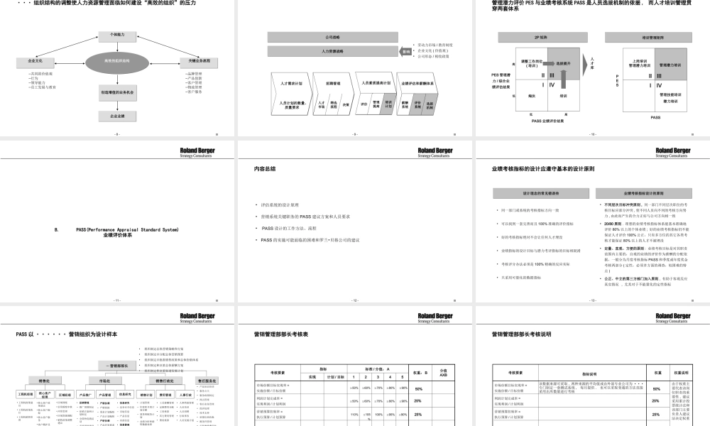 罗兰贝格—长虹营销系统业绩评估系统