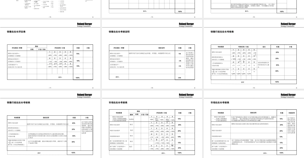 罗兰贝格—长虹营销系统业绩评估系统