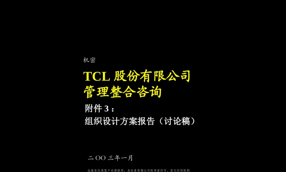 麦肯锡-TCL股份组织结构设计方案