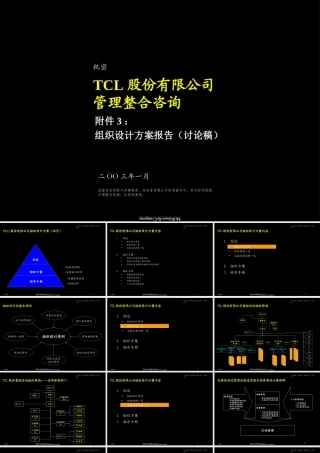 麦肯锡-TCL股份组织结构设计方案