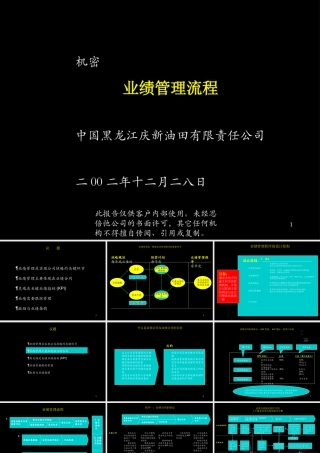 麦肯锡－黑龙江庆新油田业绩管理报告