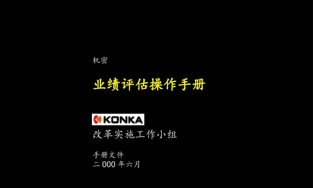 麦肯锡－康佳集团业绩评估操作手册