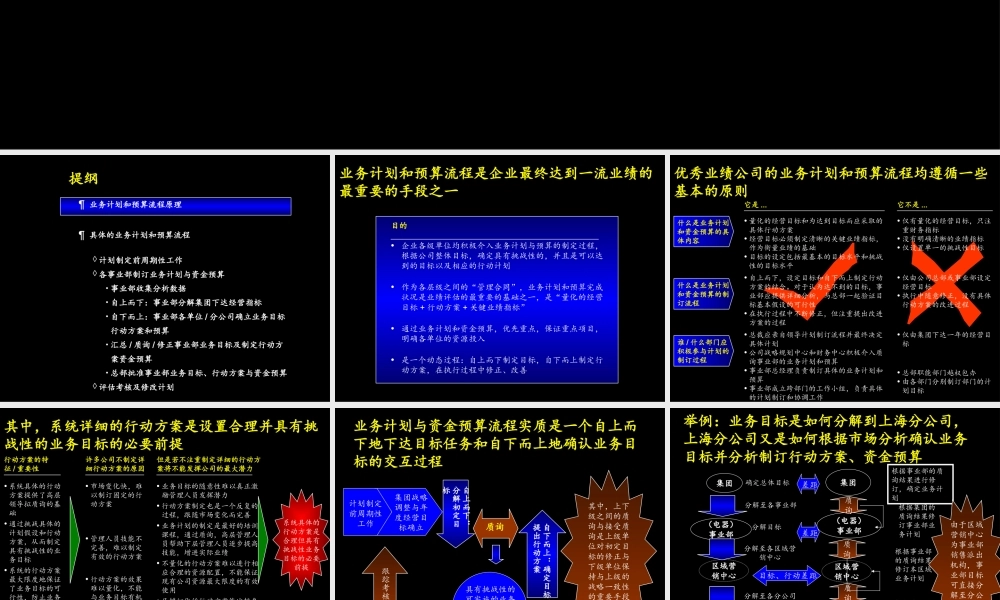 麦肯锡-康佳系列手册之业务计划和资金预算操作手册