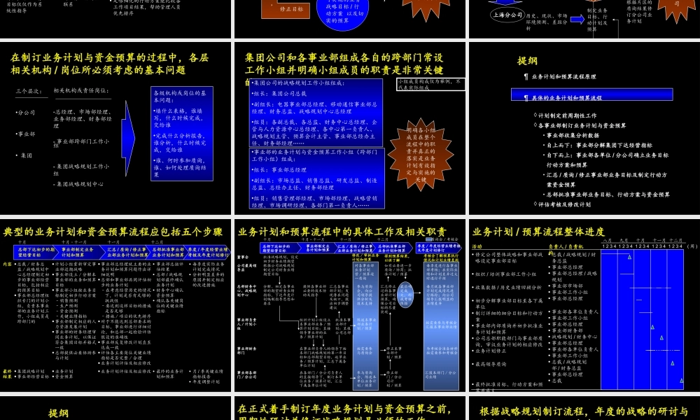 麦肯锡-康佳系列手册之业务计划和资金预算操作手册