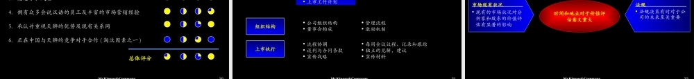 麦肯锡-年月天狮集团战略设计和首次上市咨询报告