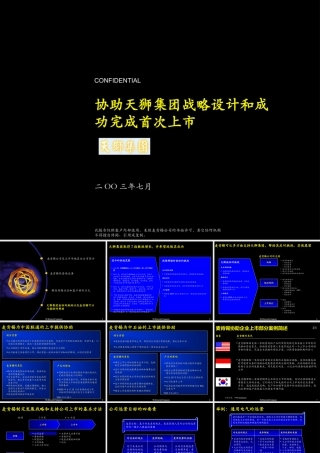 麦肯锡-年月天狮集团战略设计和首次上市咨询报告