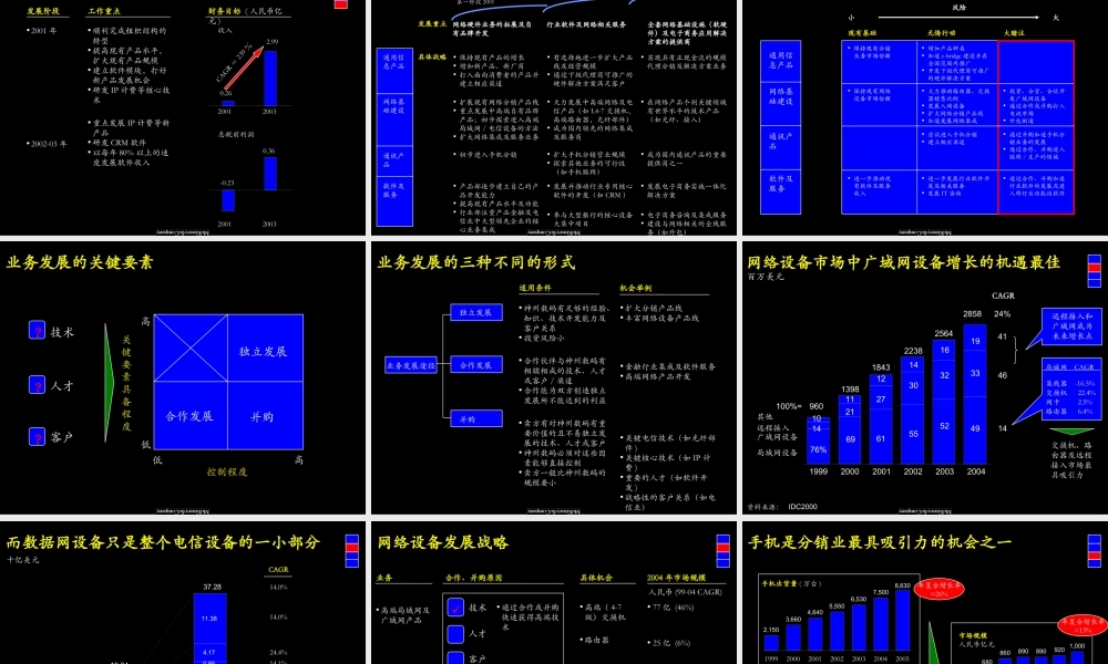 麦肯锡—神州数码公司发展战略咨询报告
