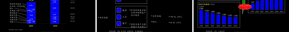 麦肯锡—神州数码公司发展战略咨询报告