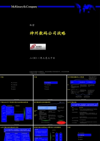 麦肯锡—神州数码公司发展战略咨询报告