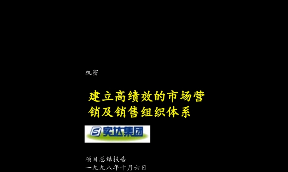 麦肯锡—实达建立高绩效的市场营销及销售管理体系咨询报告
