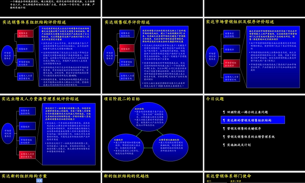 麦肯锡—实达建立高绩效的市场营销及销售管理体系咨询报告