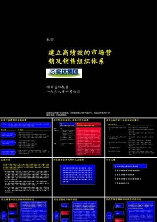 麦肯锡—实达建立高绩效的市场营销及销售管理体系咨询报告