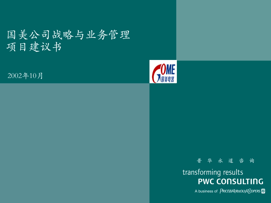 普华 国美公司战略与业务管理项目建议书_第1页