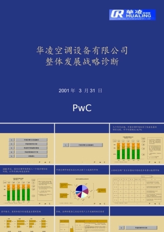 普华永道给华凌空调的战略诊断