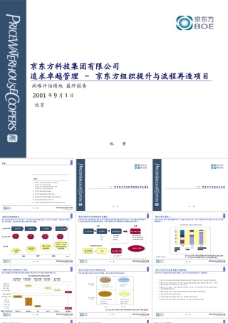 普华永道--京东方战略报告最终版