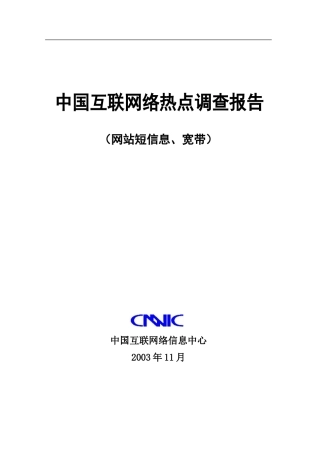 中国互联网络热点调查报告