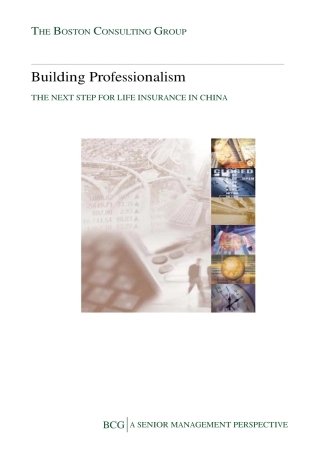中国寿险业分析报告BCG_