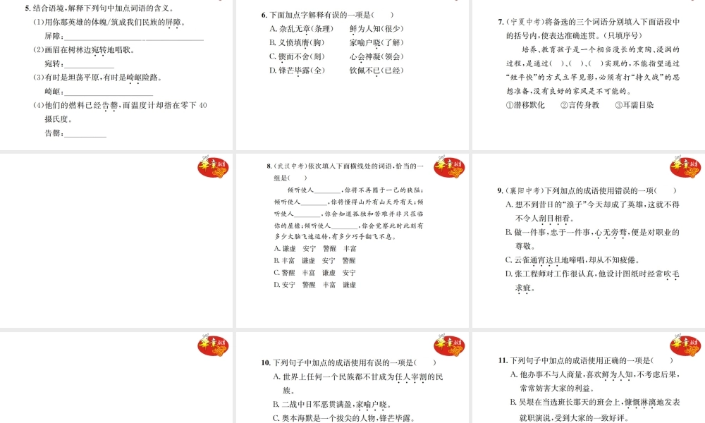 专项复习二 词语的理解与运用