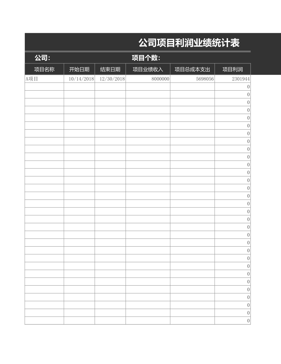 公司项目利润业绩统计表_第1页