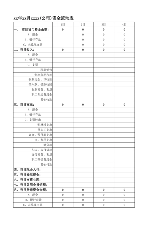 资金日报表模板