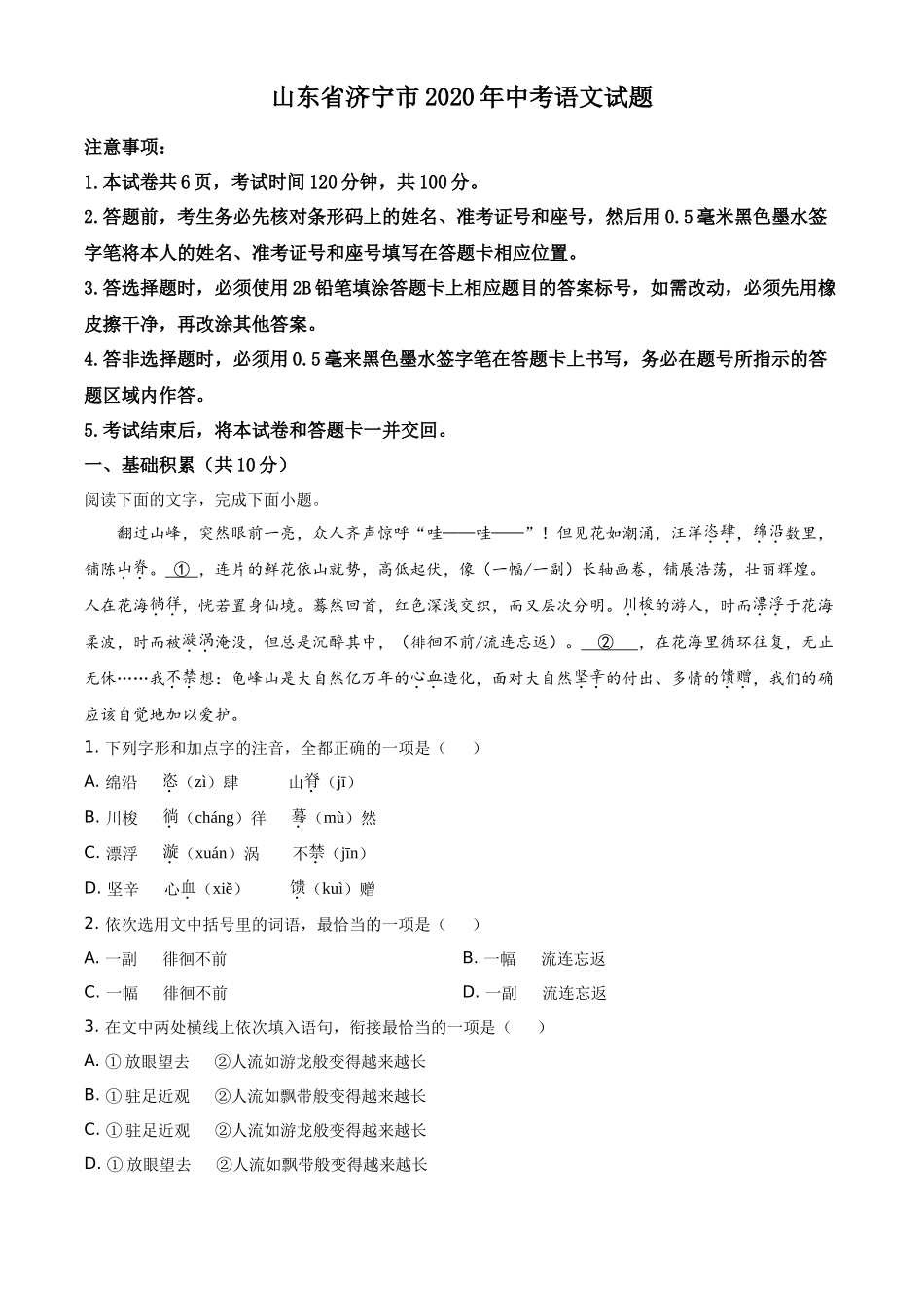 精品解析山东省济宁市2020年中考语文试题（解析版）_第1页