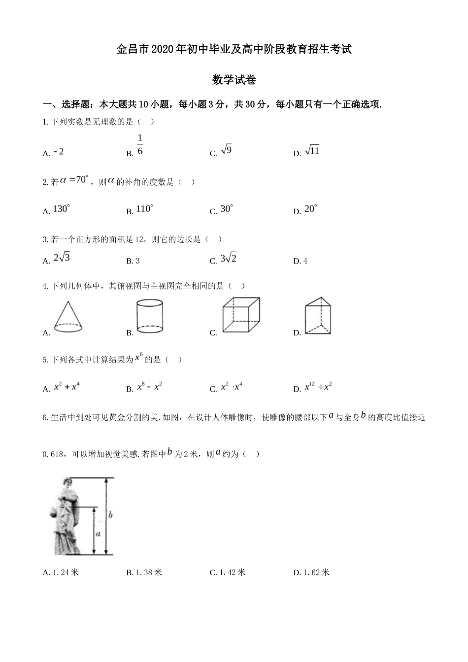 甘肃省金昌市2020年中考数学试题_第1页