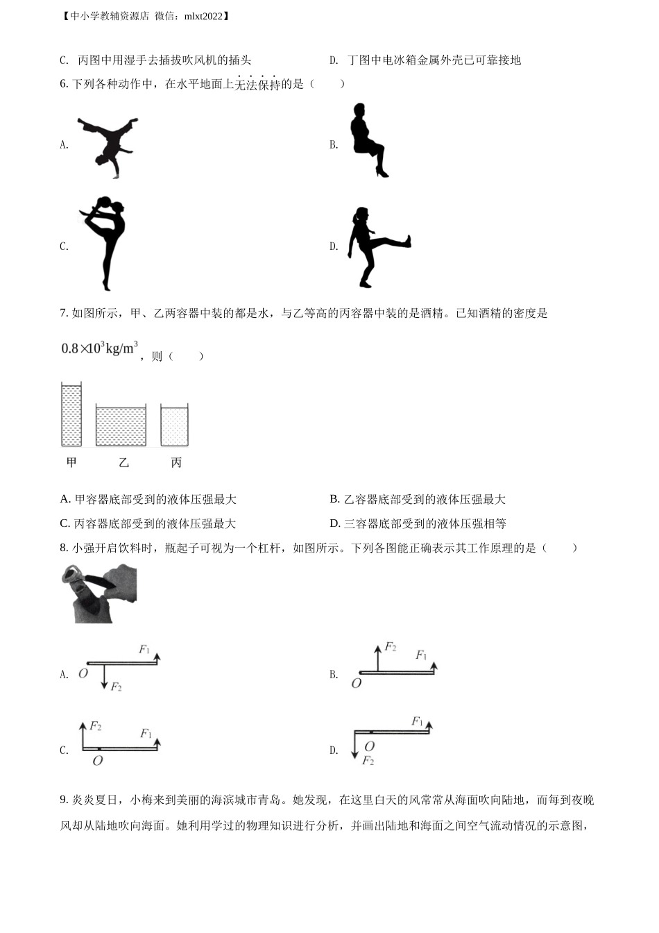 精品解析：2022年山东省济南市中考物理试题（原卷版）_第2页