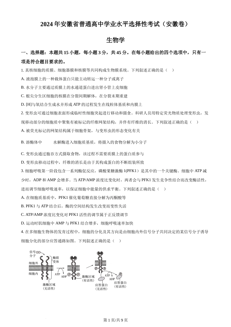 2024年高考生物试卷（安徽）（空白卷）_第1页
