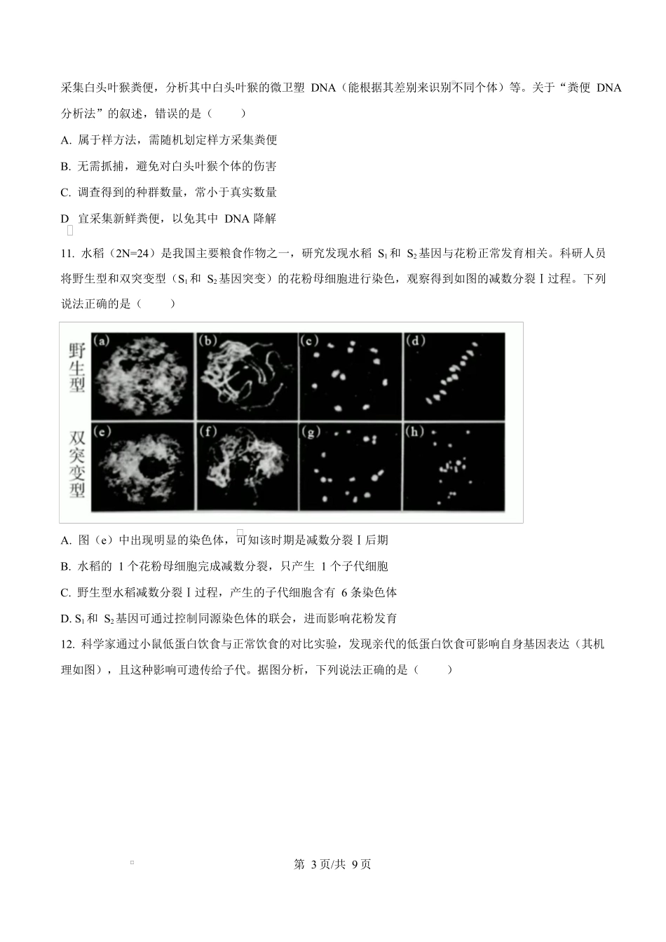 2024年高考生物试卷（广西）（空白卷）_第3页