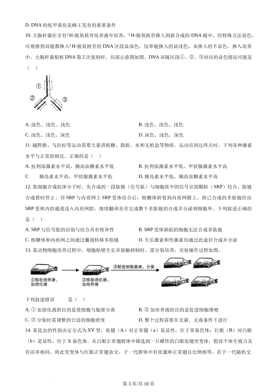 2024年高考生物试卷（浙江）（1月）（空白卷）_第3页