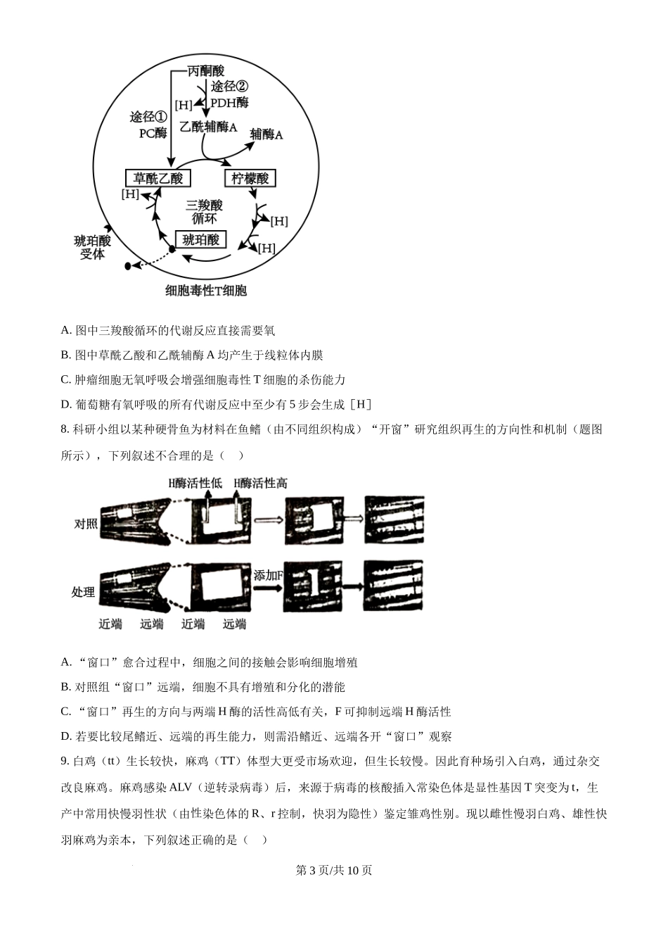 2024年高考生物试卷（重庆）（空白卷）_第3页