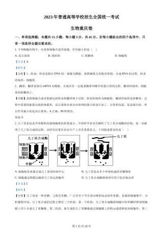 2023年高考生物试卷（重庆）（解析卷）