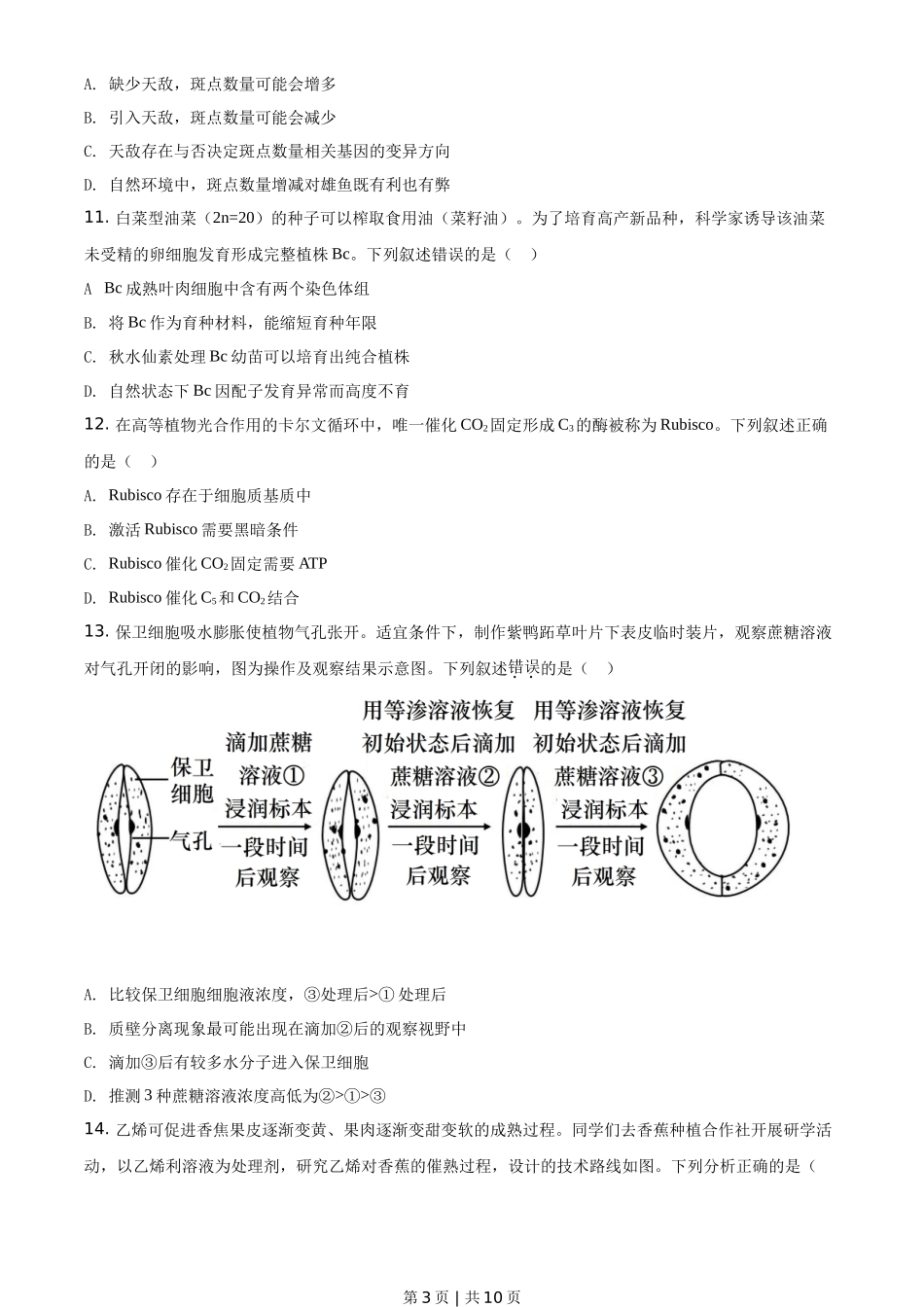 2021年高考生物试卷（广东）（空白卷）_第3页