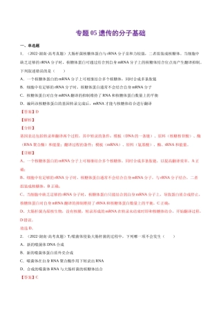 专题 遗传的分子基础-十年（2013-2022）高考生物真题分项汇编（全国通用）（解析版）