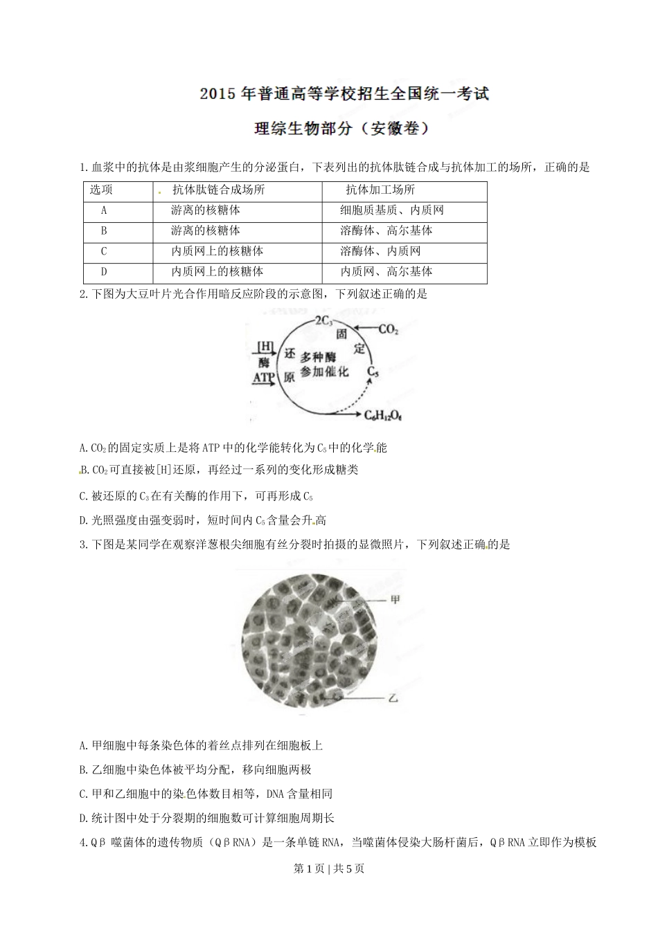 2015年高考生物试卷（安徽）（空白卷）_第1页