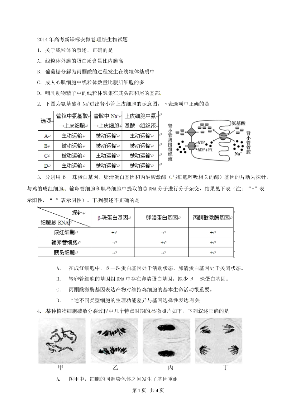 2014年高考生物试卷（安徽）（空白卷）_第1页