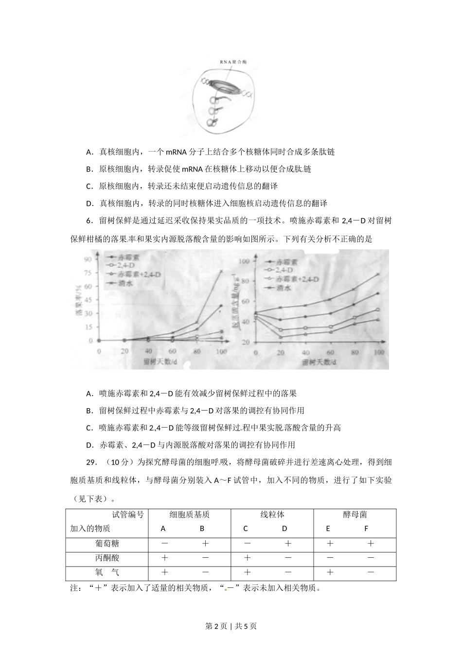 2012年高考生物试卷（安徽）（空白卷）_第2页