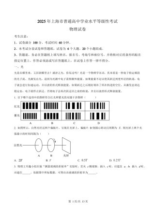 2025年高考物理试卷（上海卷）（解析卷）